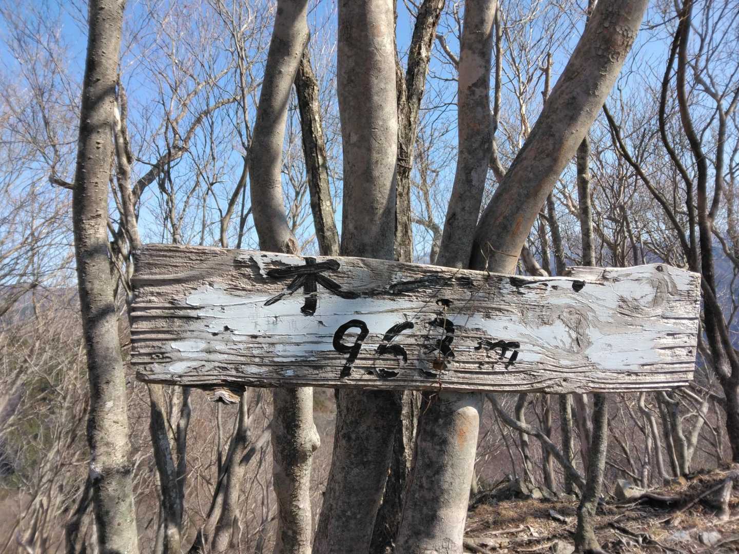 栗生山の山頂に到着。
山名板、破損してますね😖