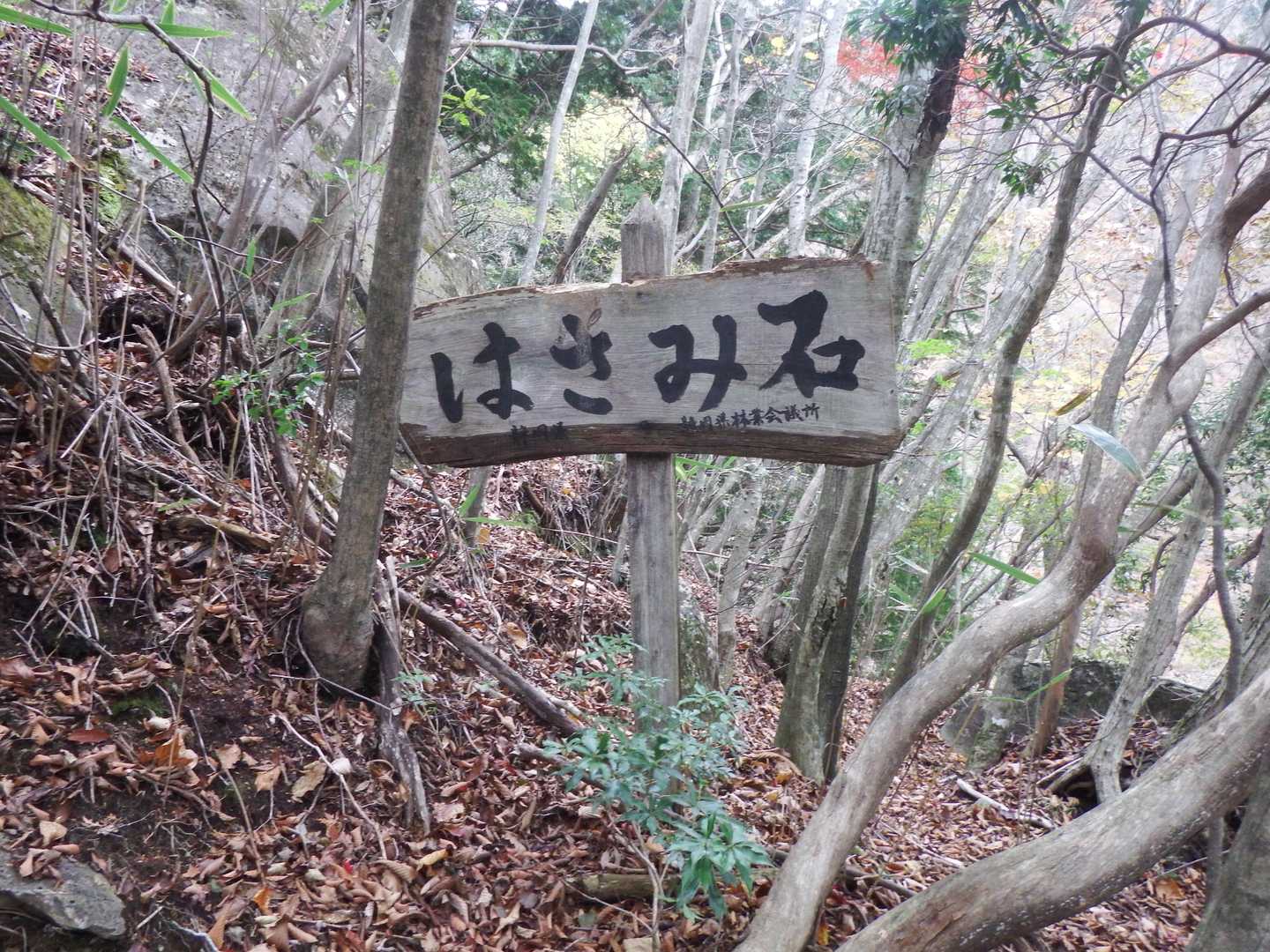 毛無山