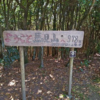 ここに至るまでの急登がキツかった