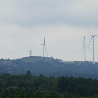今、何となくピン！！とニュータイプのアレが走ったんだけど、
庵野って絶対、この風景見て思い付いたよね、
あのシーン、このシーン。

葛城と言い、庵野は近鉄沿線の子だったんやね　
※今調べたら宇部育ちだった。。。
ちらっと聞いたことあるような気がする津和野すら遠かったｗｗ



