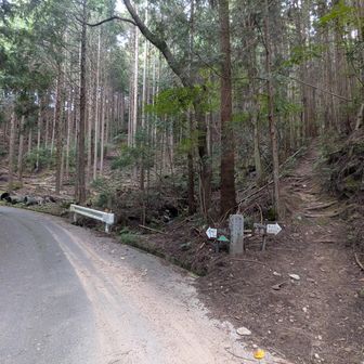 コースがわからない🤔
行きはこのまま林道をそのまま登るの?
それとも登山口から登るの？
わからないけどそのまま林道の上り坂を走り続けた💪

これ行きずっと林道の上り坂を走り続けるってスゴイコースなんだけど😰
なんか足がパンパンになってきたんだけど😂

負けてなるものかーーー💪
上り坂のロードは止まらずに走り続けないといけないのだーー！
つだちんの教えなんだーー💪
ってやっぱり後のことを考えずひたすら
走り続けた😂