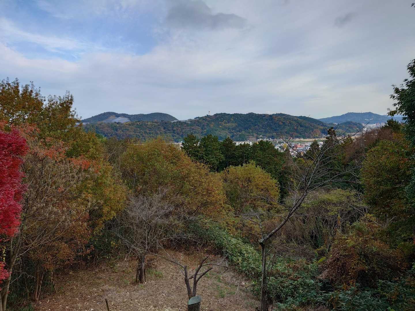 倉吉博物館・倉吉民俗資料館-打吹山 周回コースの写真