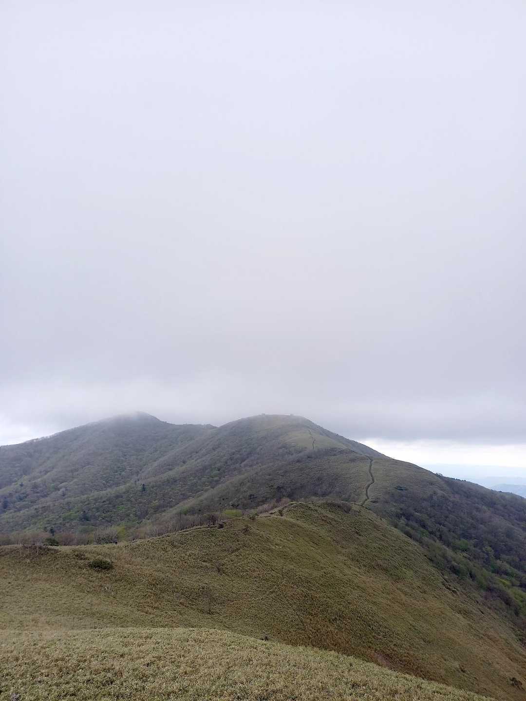 今日は調子よかったのに、あと1kmくらいで足が悲鳴を上げてびっこで下山。
後ろ向きで歩くと(アスファルトね)痛みがでないことが発覚！
みなさん足痛い時お試しあれ(笑)