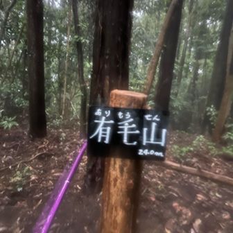 ふじやまおとし