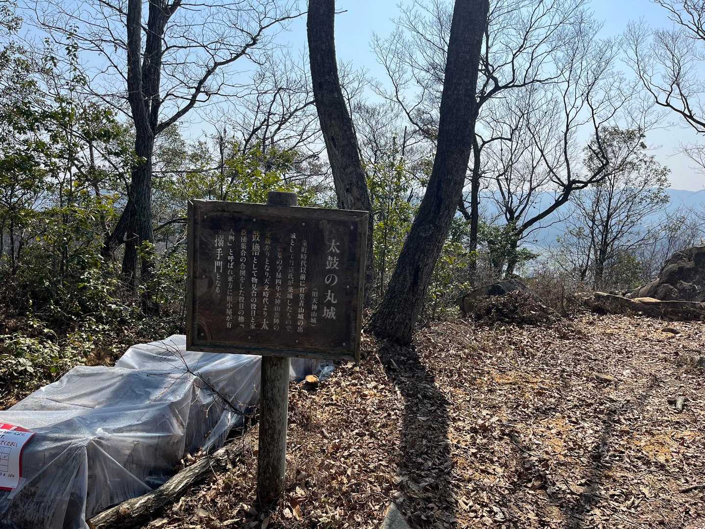 佐伯天神山 周回コースの写真