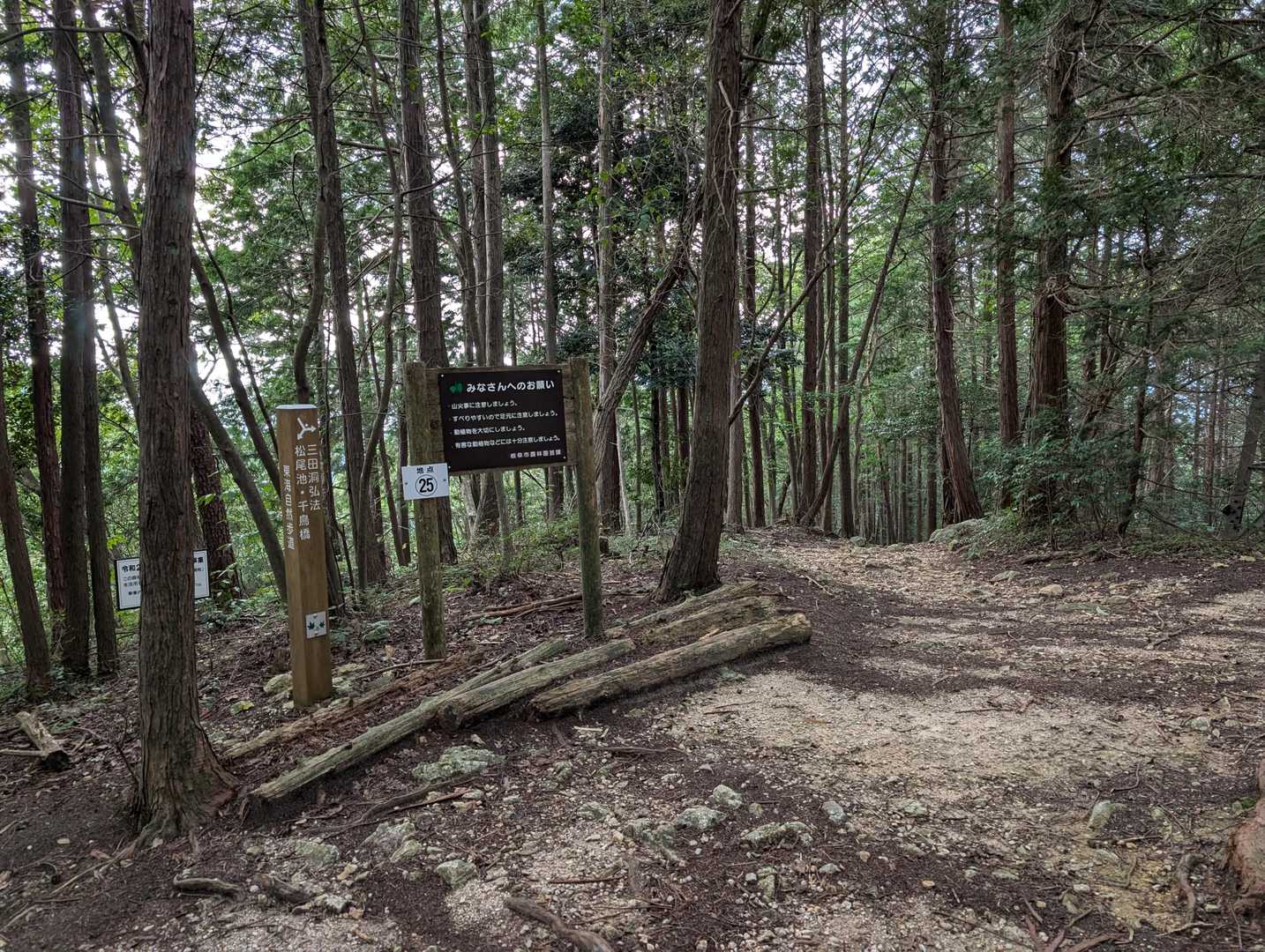 駐車場へ向け、下山します。