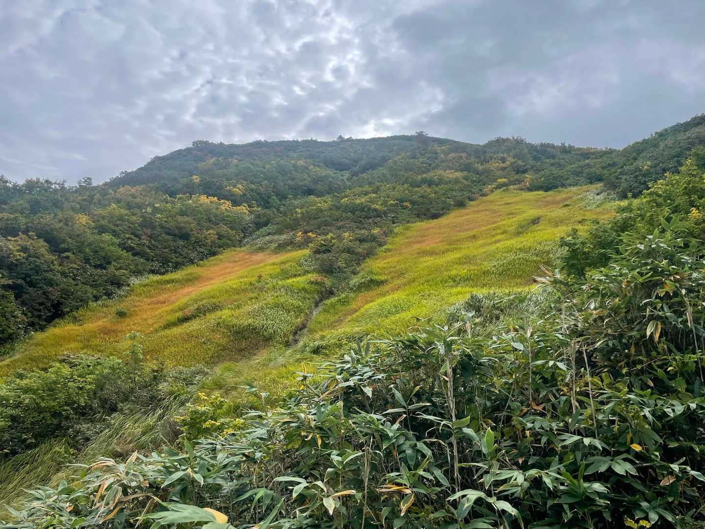 八海山（ロープウェー山頂駅）<山頂駅・女人堂・薬師岳・千本檜小屋>の写真