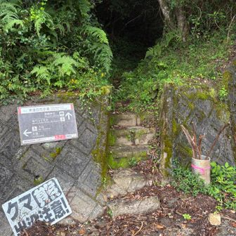 唐突にジブリ感。