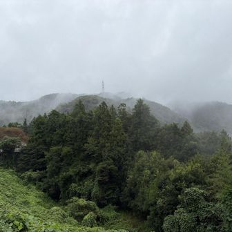 小仏城山は霧の中…