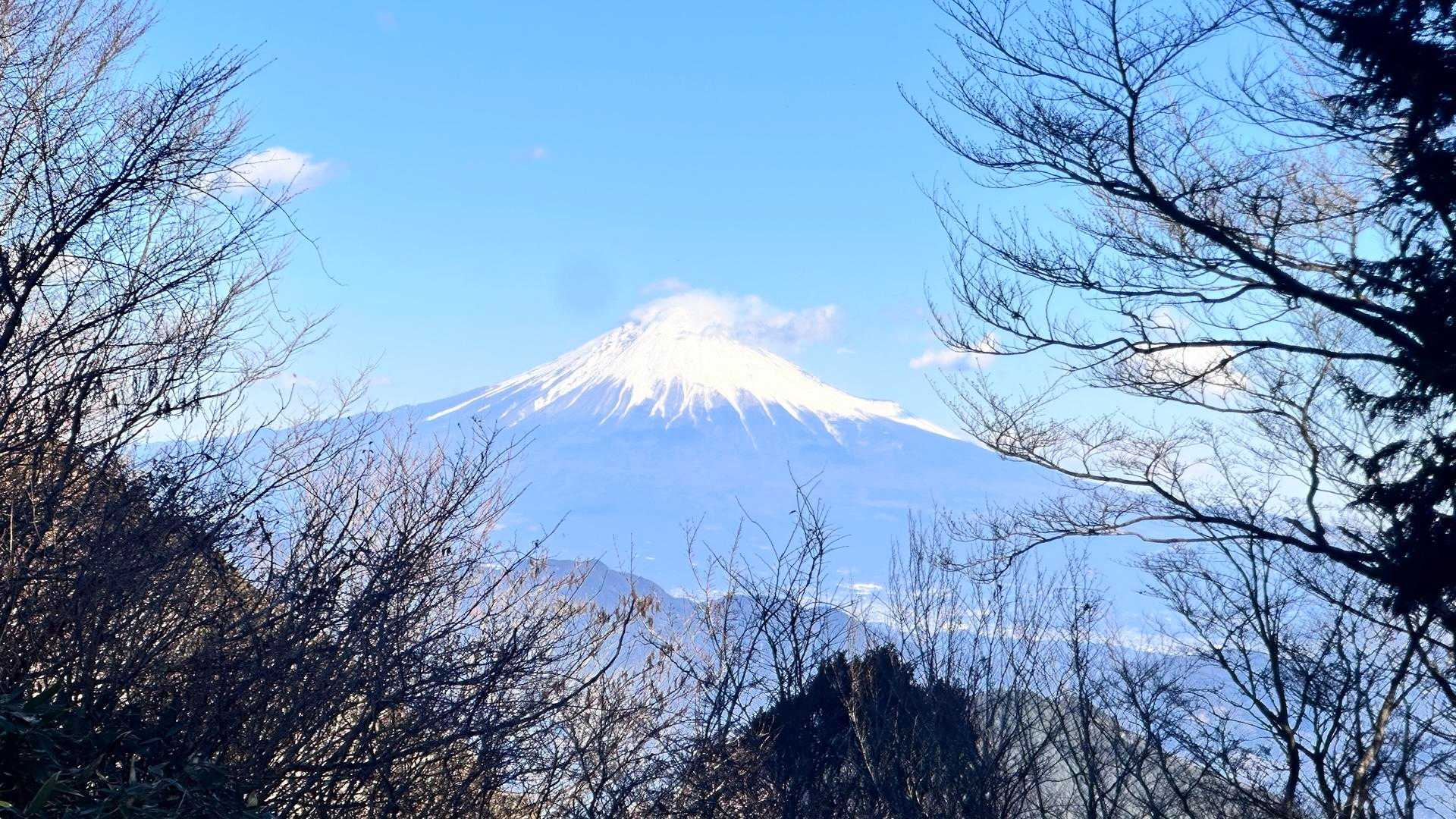 薬師岳-文珠岳-道白山 周回コースの写真