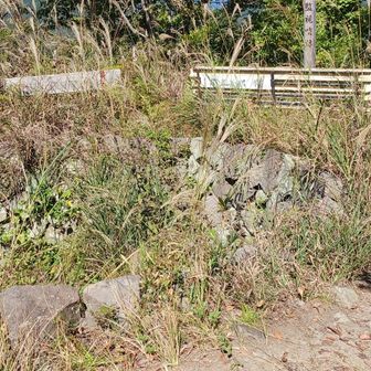 ここから米軍機が来ないか見張っていた　手前径3mほどの穴
