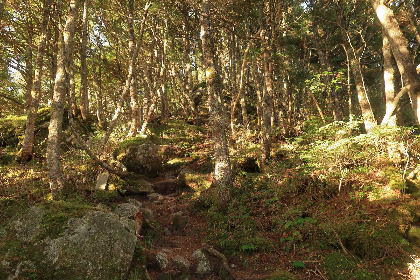 日が当たり気持ちのいい時間
※あまりありませんでしたが・・・