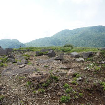 ちょっと神社の裏手に回ってみます。