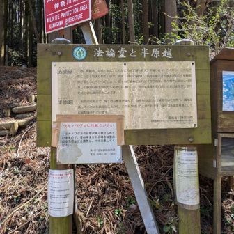 半原越に下りた。