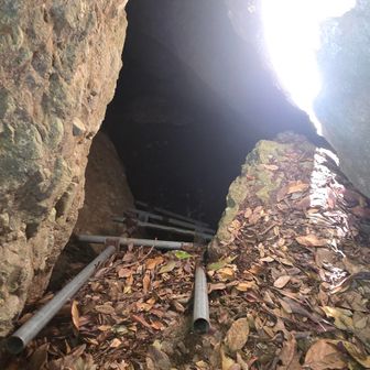 はしごを下りる勇気なし