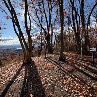 進んで「御殿山」到着🏃‍♂️=3

気持ちイイ天気☀️