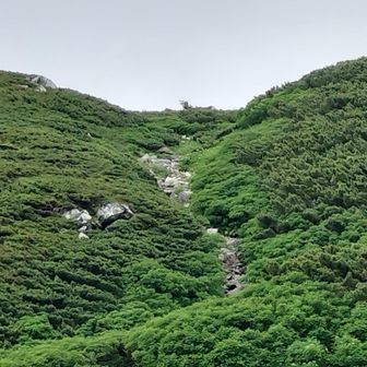 巻き道で一番いやな岩の登り