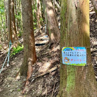 あとちょっと❓信じるよ❓
