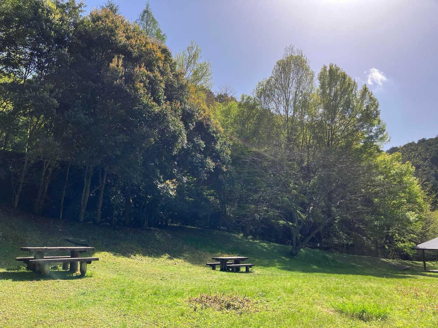 新緑、風、鳥の声✨やっぱり山はいい😊
いっぱいエネルギーもらいました✨