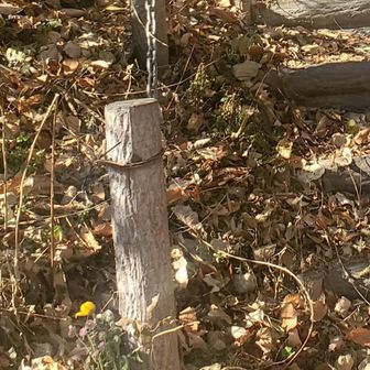 そして、表コース登山口到着
先日他界された
通称🐻熊さんにの
💐花束
神社手前でいつも
お見かけしたレジェンド様
御冥福をお祈りいたします