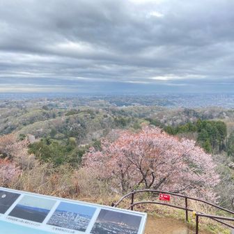 展望台から🏙️