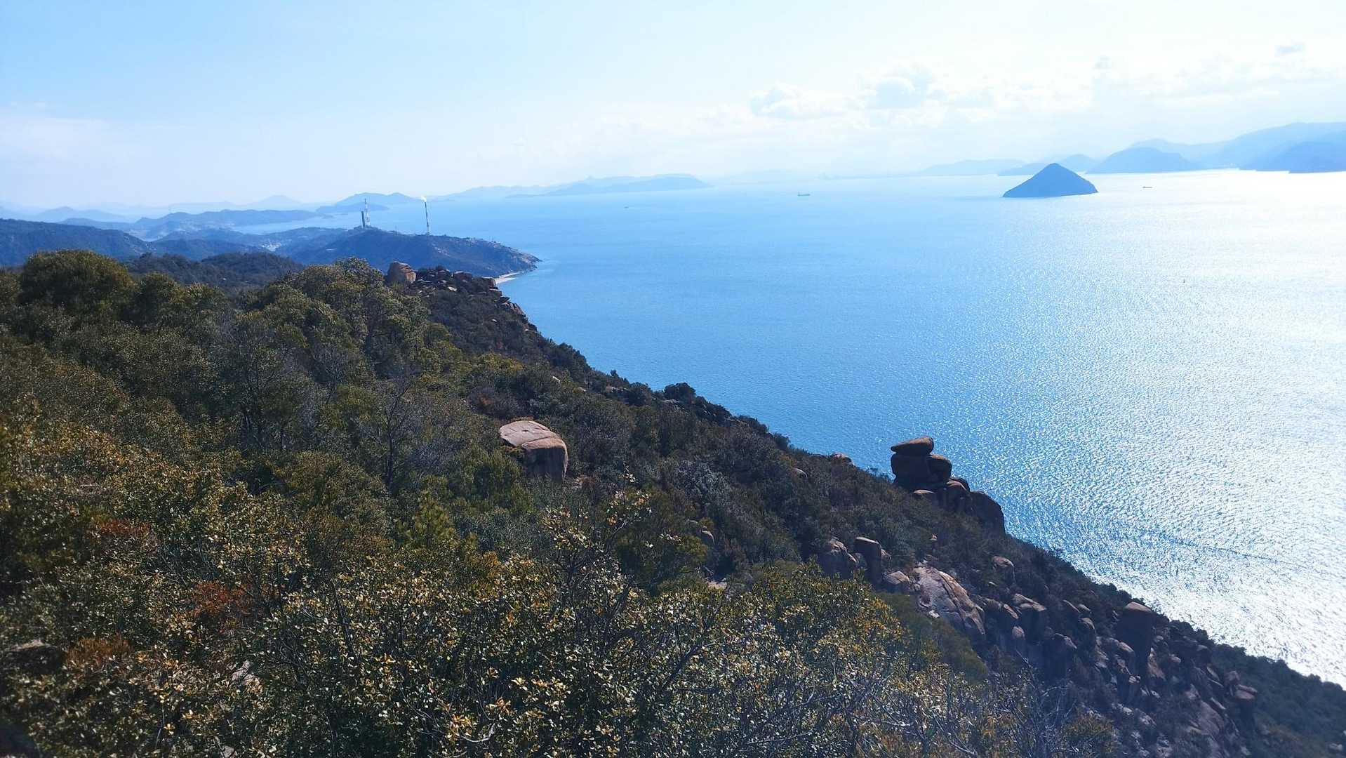 矢出山-新割山 往復コースの写真