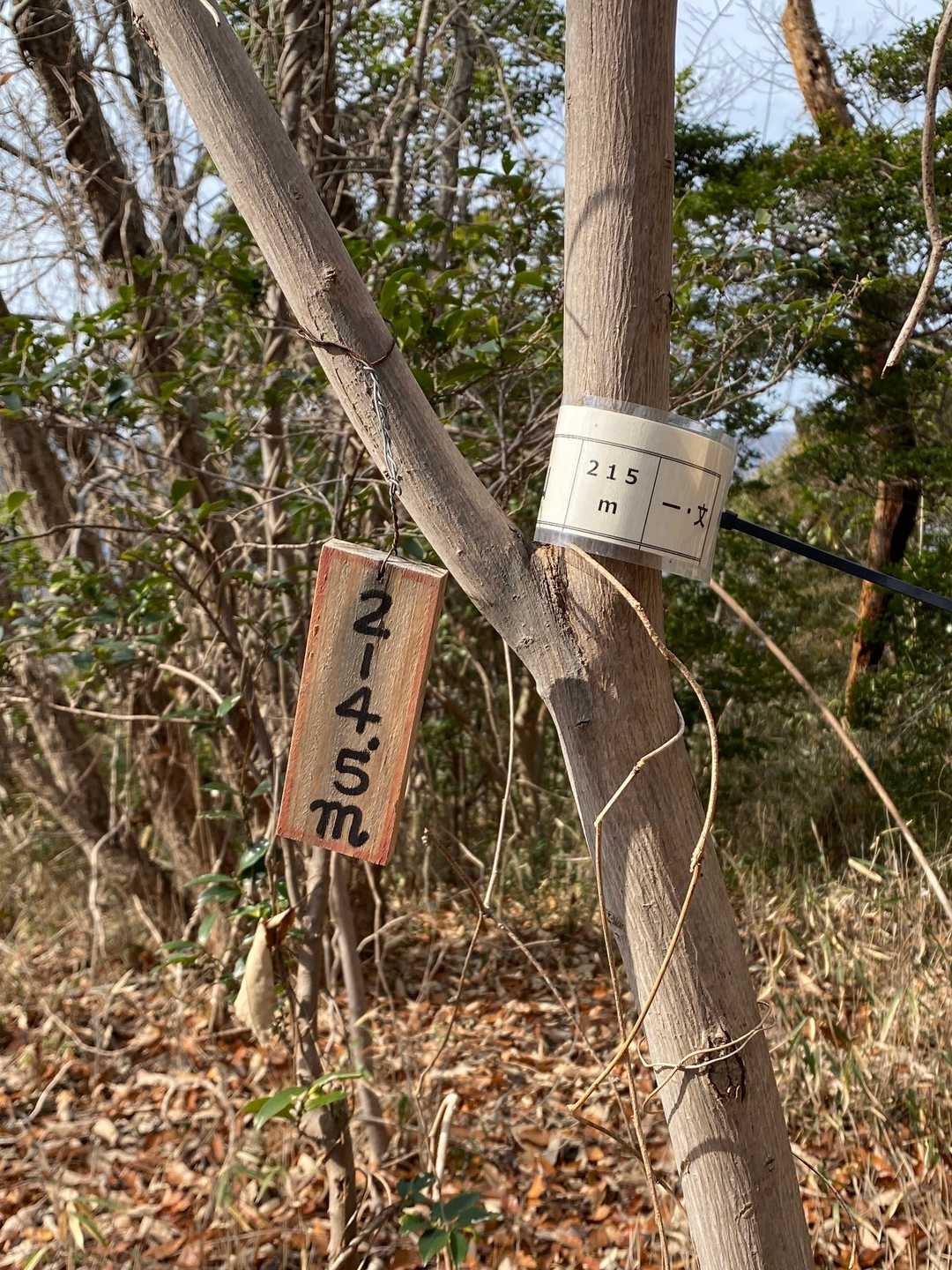 やったぜ！2月14日にバレンタイン山を登ったぞ！😁

‥‥まぁ、当然ですけど、山頂には、いちゃつくカップルどころか誰もいません😅

一瞬、214.5m標記に「これ四捨五入されて215mなんじゃね？」と焦りましたが、YAMAPでは214mと認定されてました😁