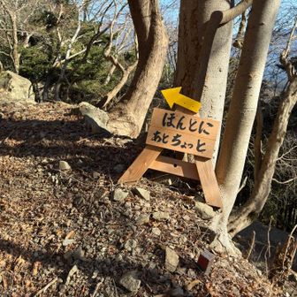 「あとちょっと」は当てにならない笑
↑登山者あるある