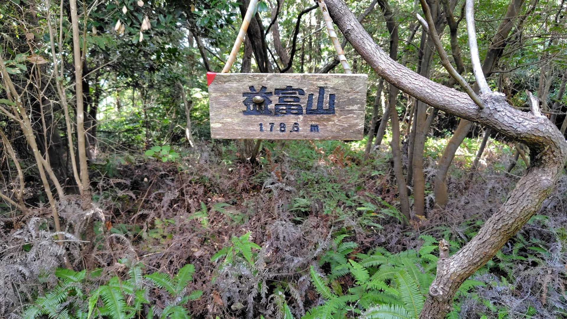 益富山山頂到着！