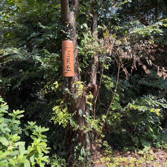 下りの途中の吉見岳