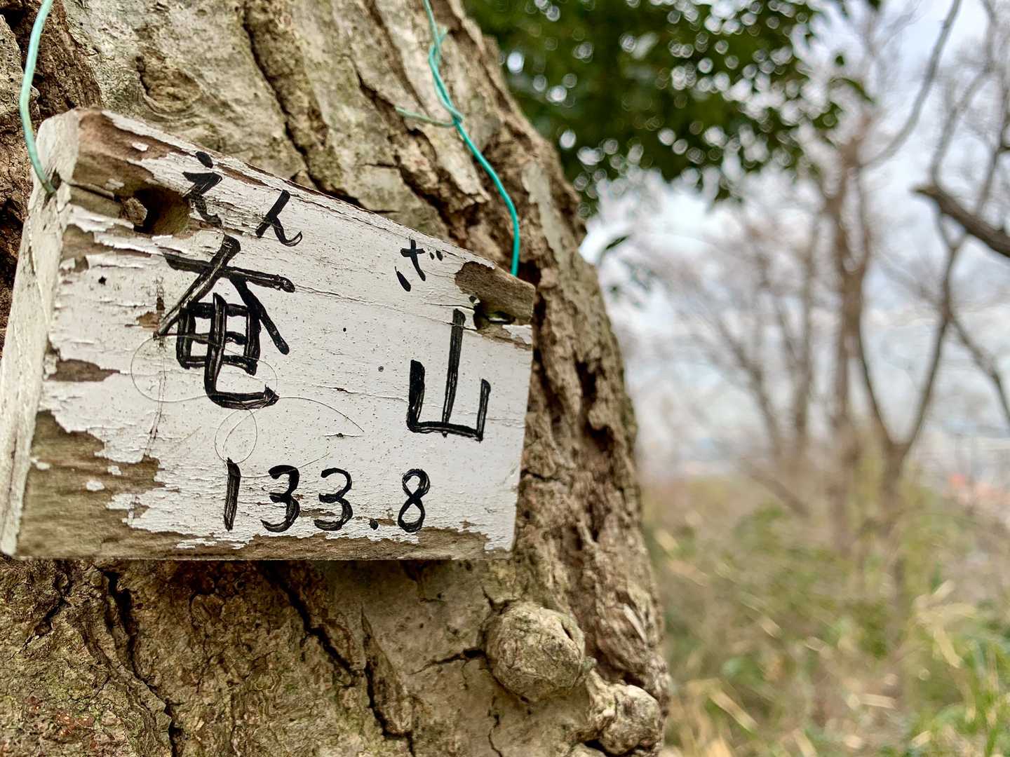 庵山　133.8m
やっと初登頂できました