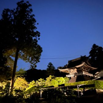もう、蛍いなくなってた

おつかれさま