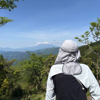 本日の富士山は　大分恥ずかしがっております🗻