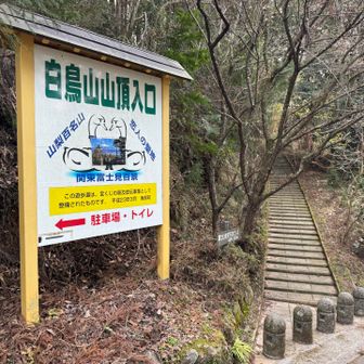 ここからスタート