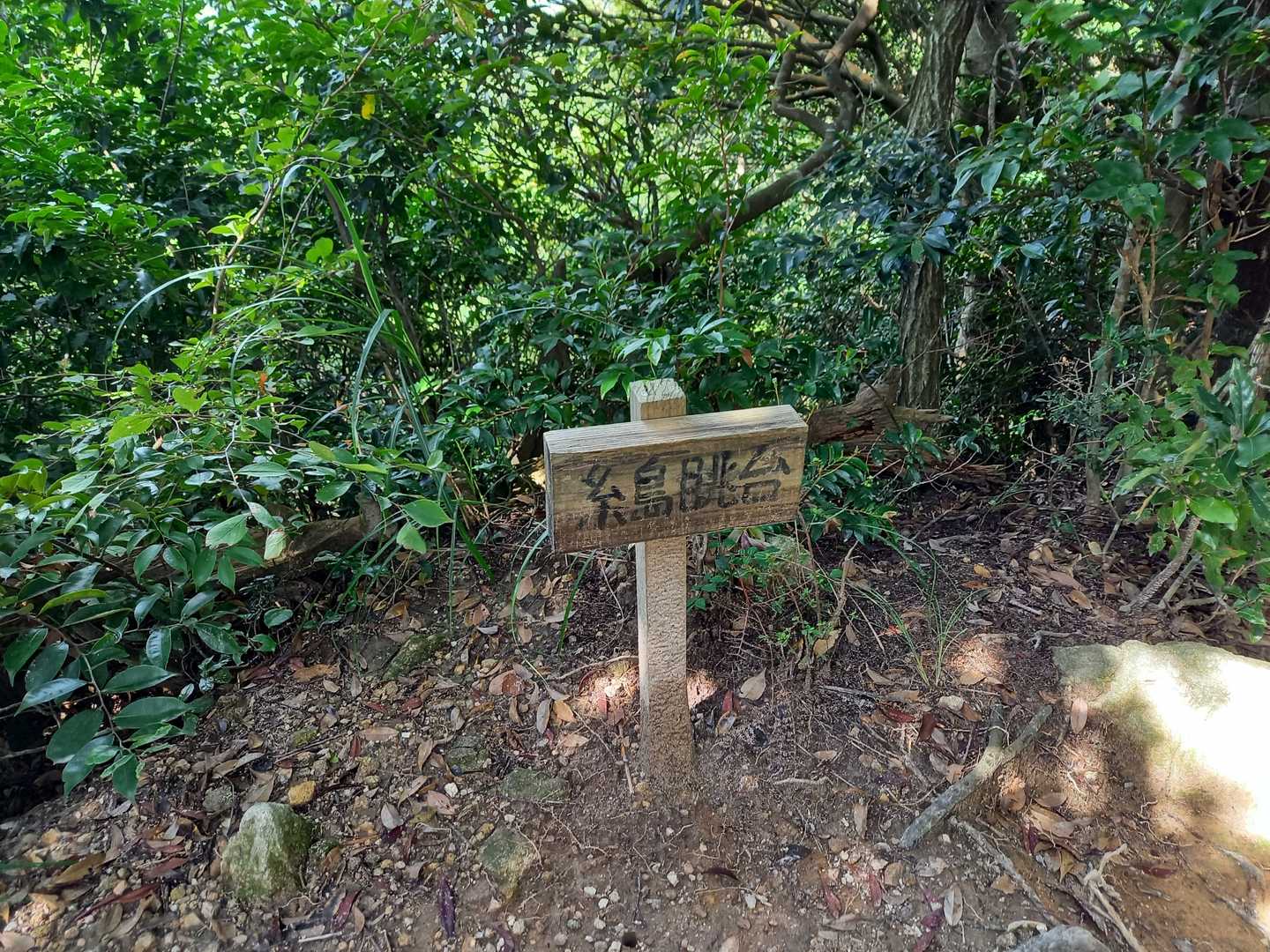 飯盛山-日向山-高地山 往復コースの写真