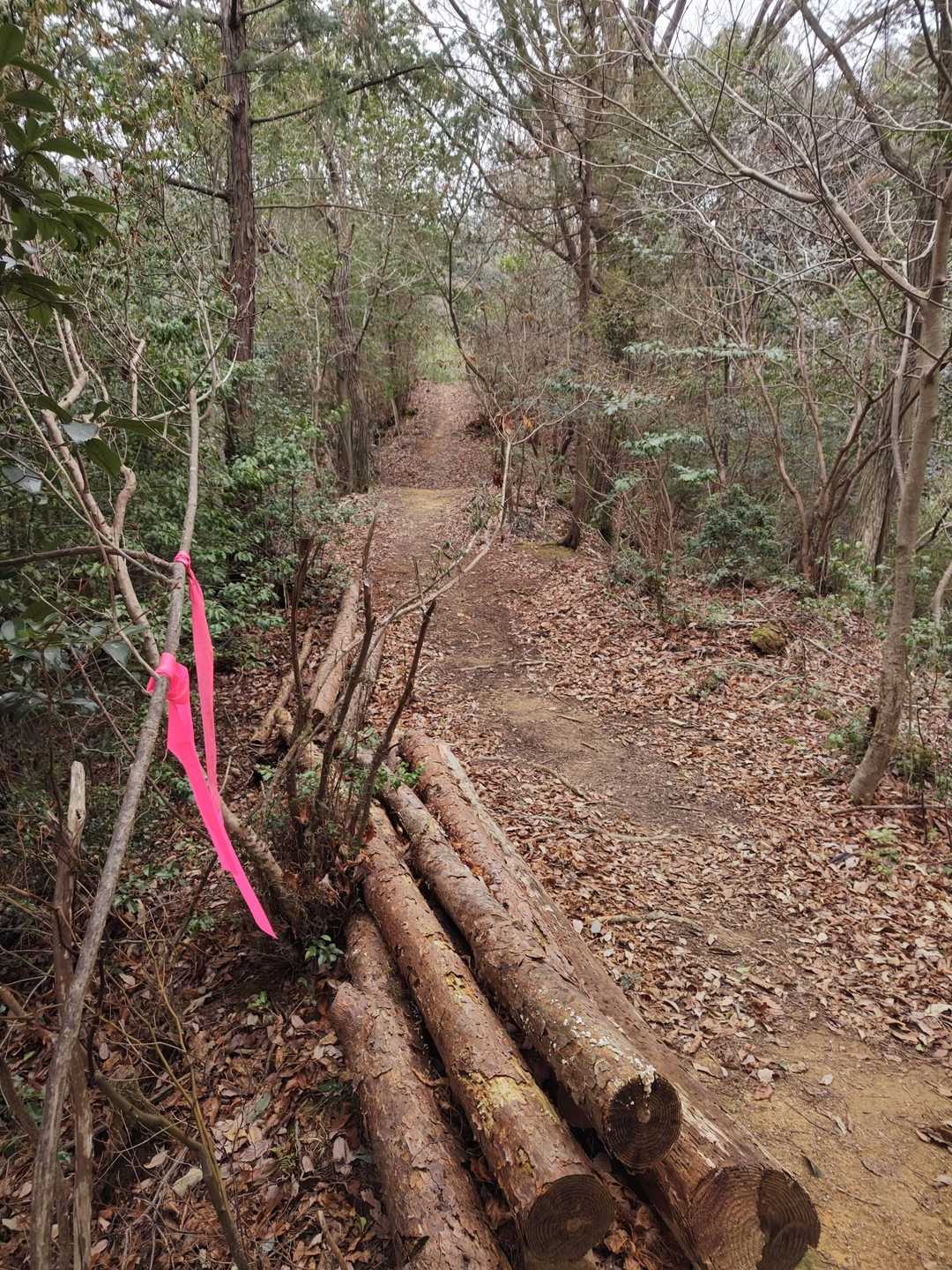 ずっとわかりやすく歩きやすい