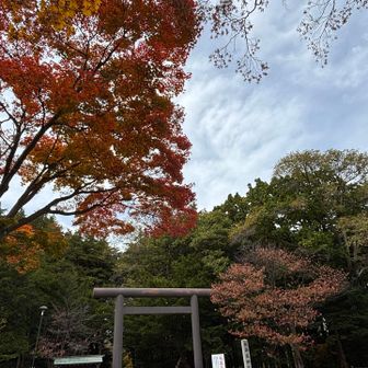 北海道神宮へ🍁