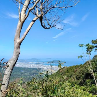 叶岳に近づくと糸島の海が見えた