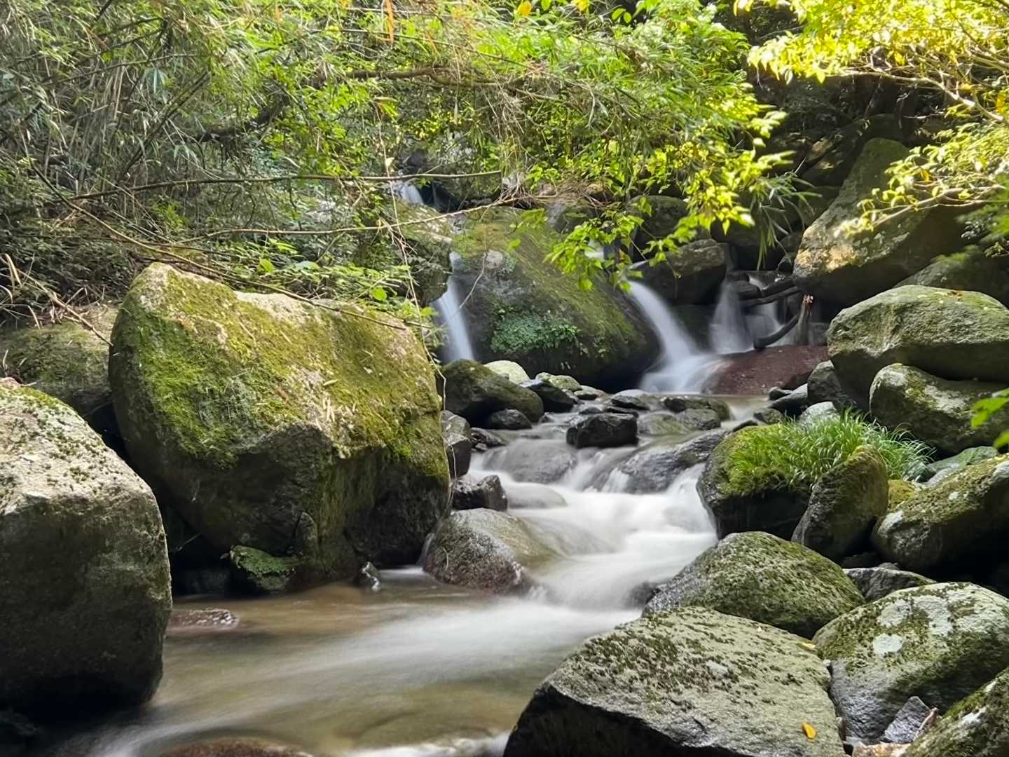 二丈岳 往復 | 沢沿いを涼しく歩き、山頂の巨岩から糸島の絶景を楽しむの写真