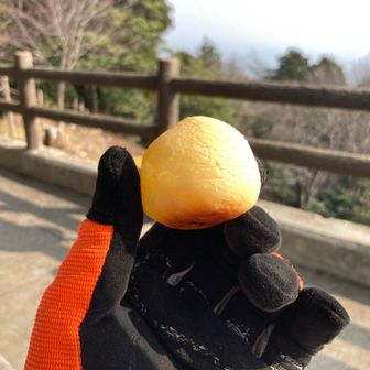 山頂ベンチで休憩中に手作りパンを頂きました🙏
めちゃくちゃ美味しいかった🤩