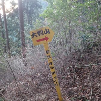 小さな尾根に出て、この尾根沿いを直登する。