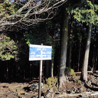 Ⅱ峰到着　
看板光っちゃってますが「雲母Ⅱ峰山頂」と書いてあります