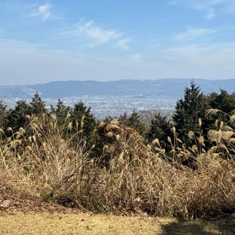 東屋ありました！