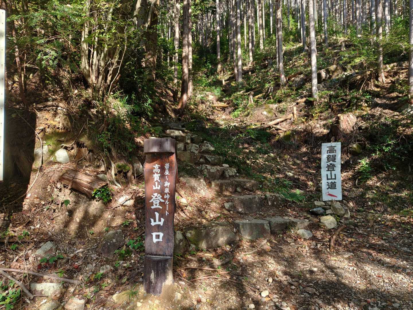 わかりやすい案内あって迷いません