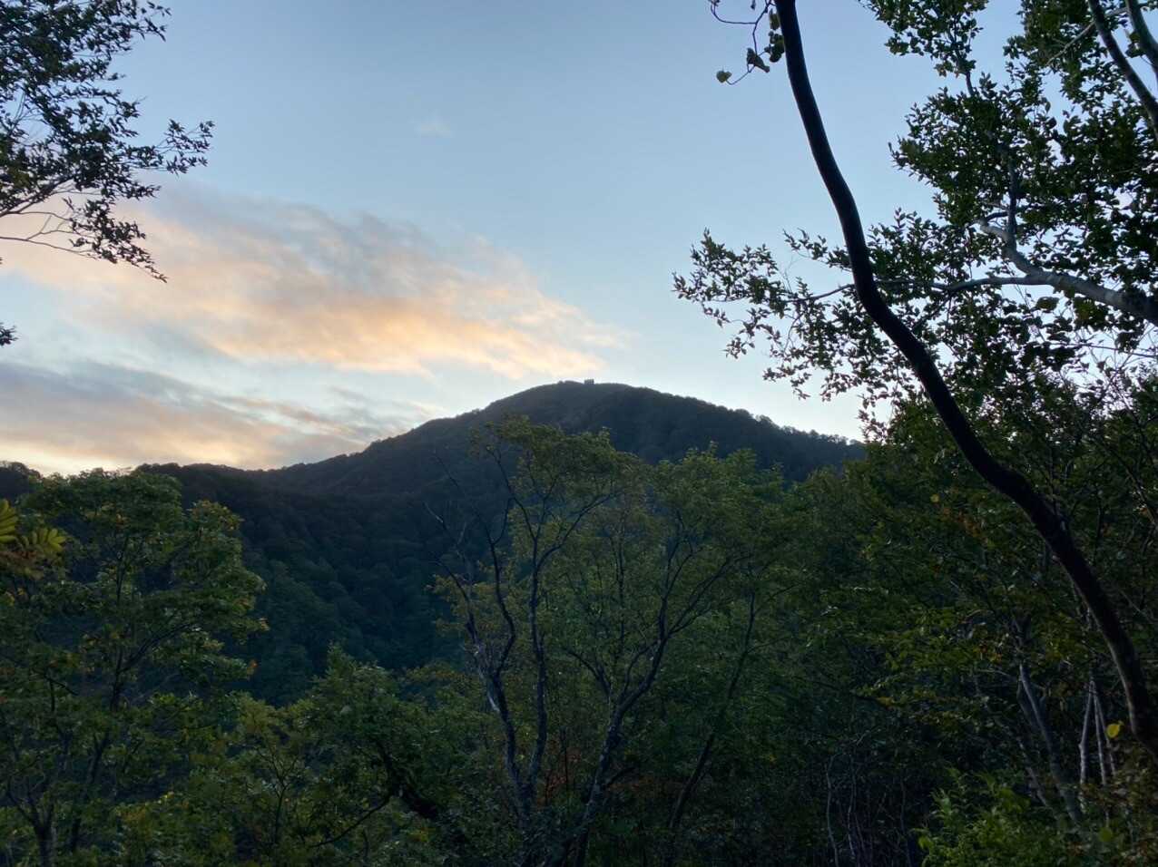 米山の写真