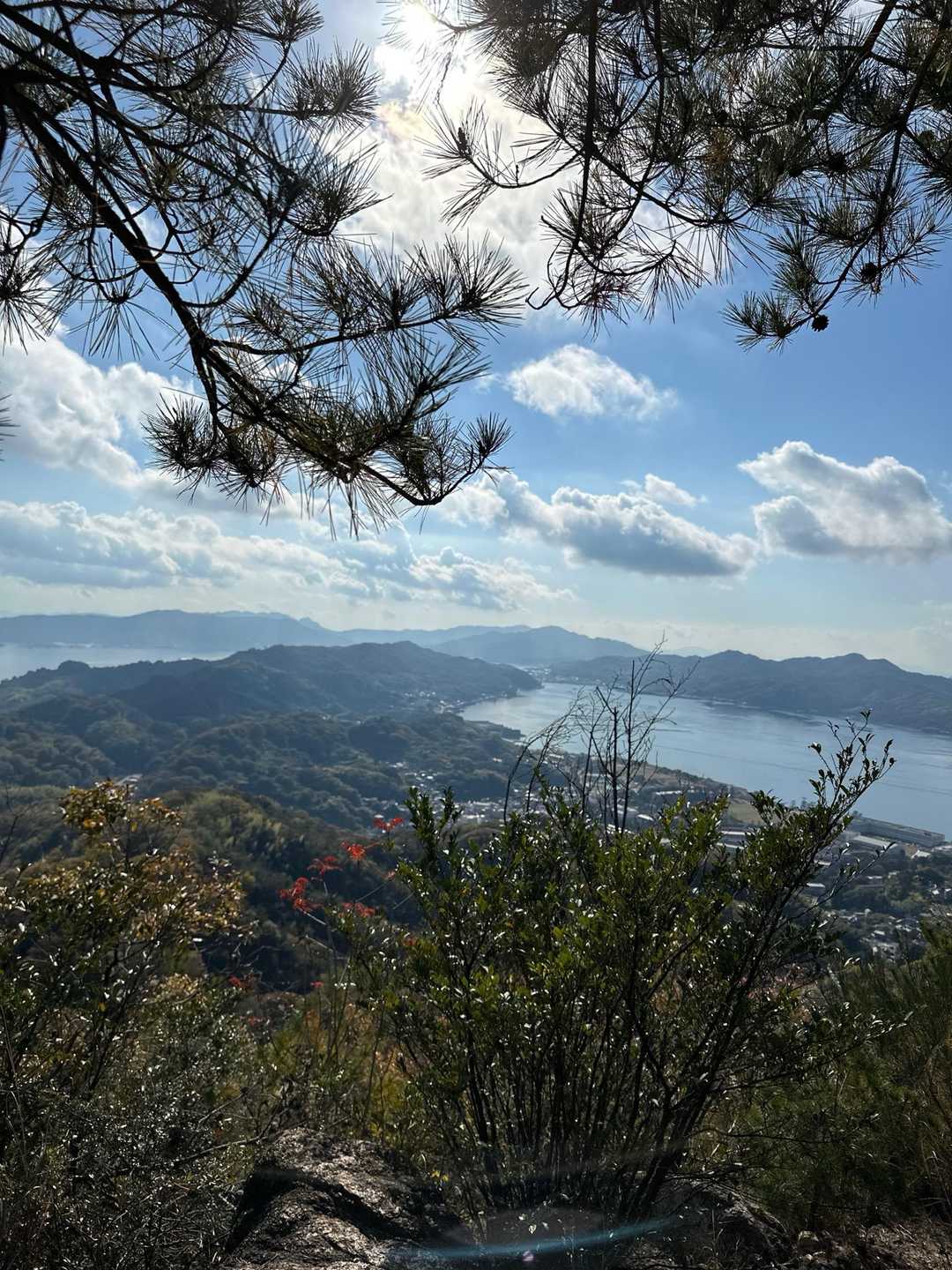 奥小路登山口-古鷹山-クマン岳 往復コースの写真