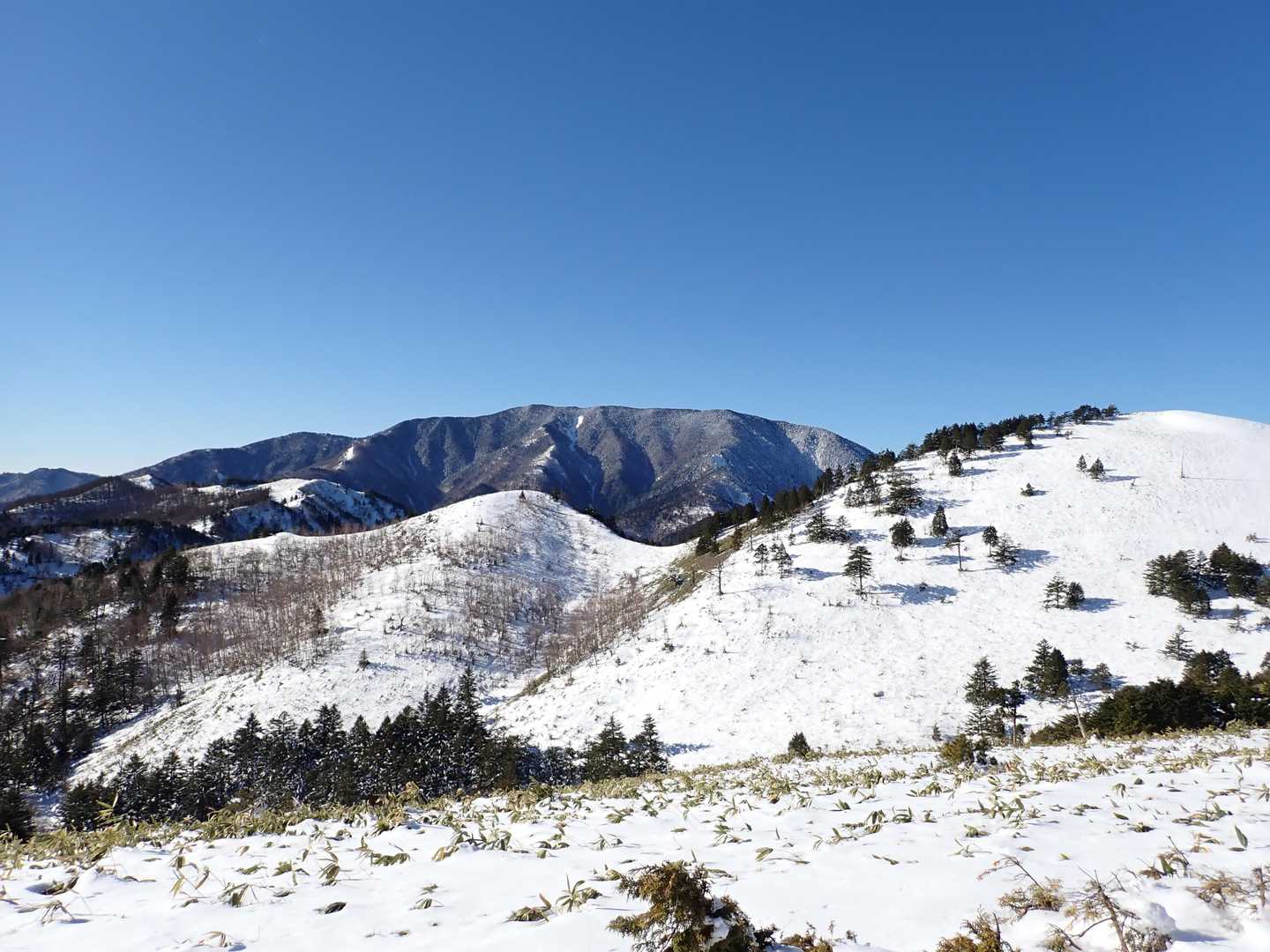 恵那山は白め