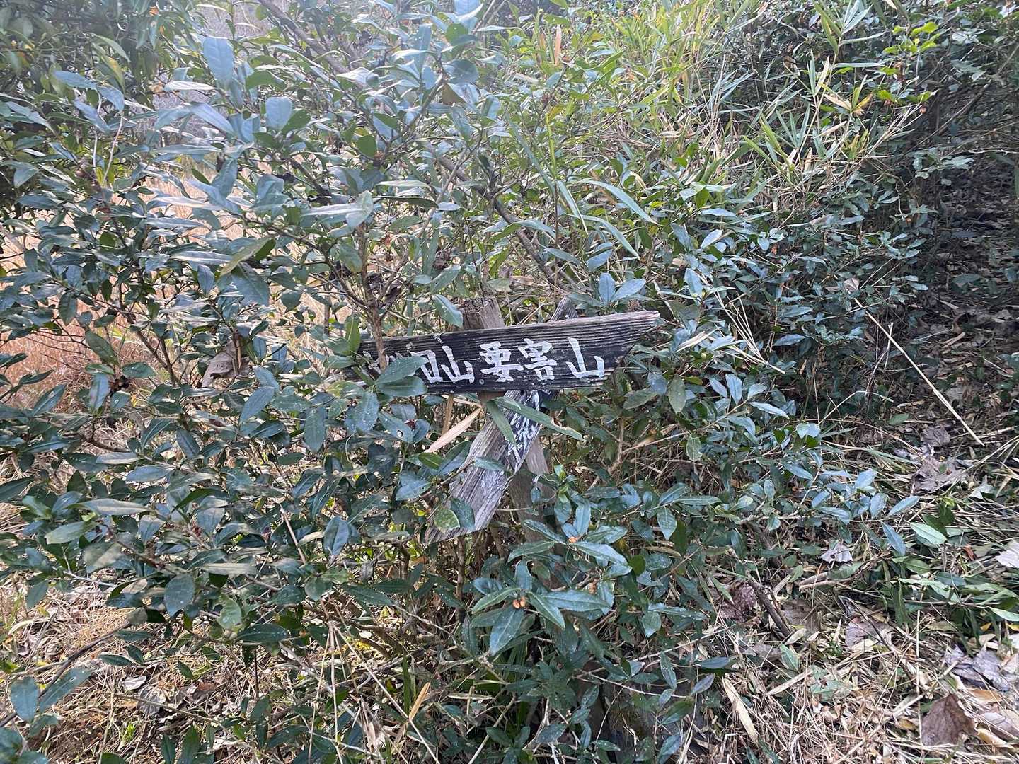 尾続山-実成山-風の神-要害山-尾続バス停 周回コースの写真