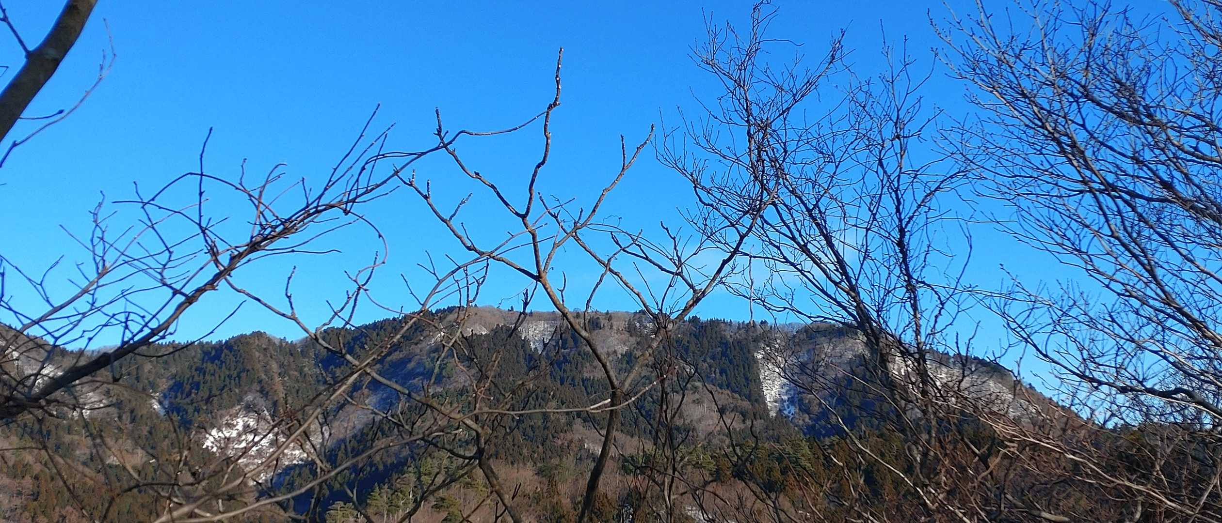 頂上方面