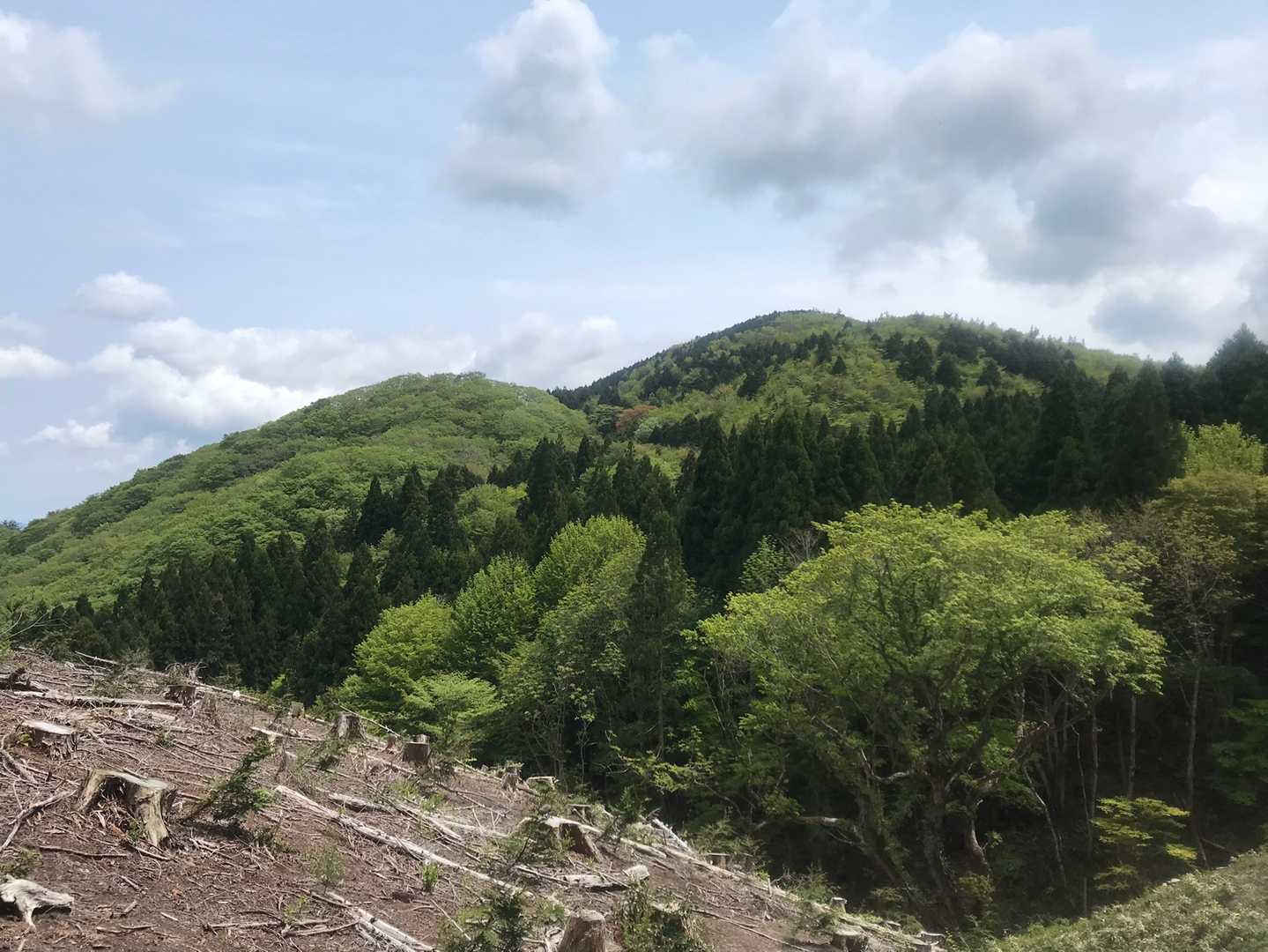 木々の中も良いけど、開けた道もとても良いです。